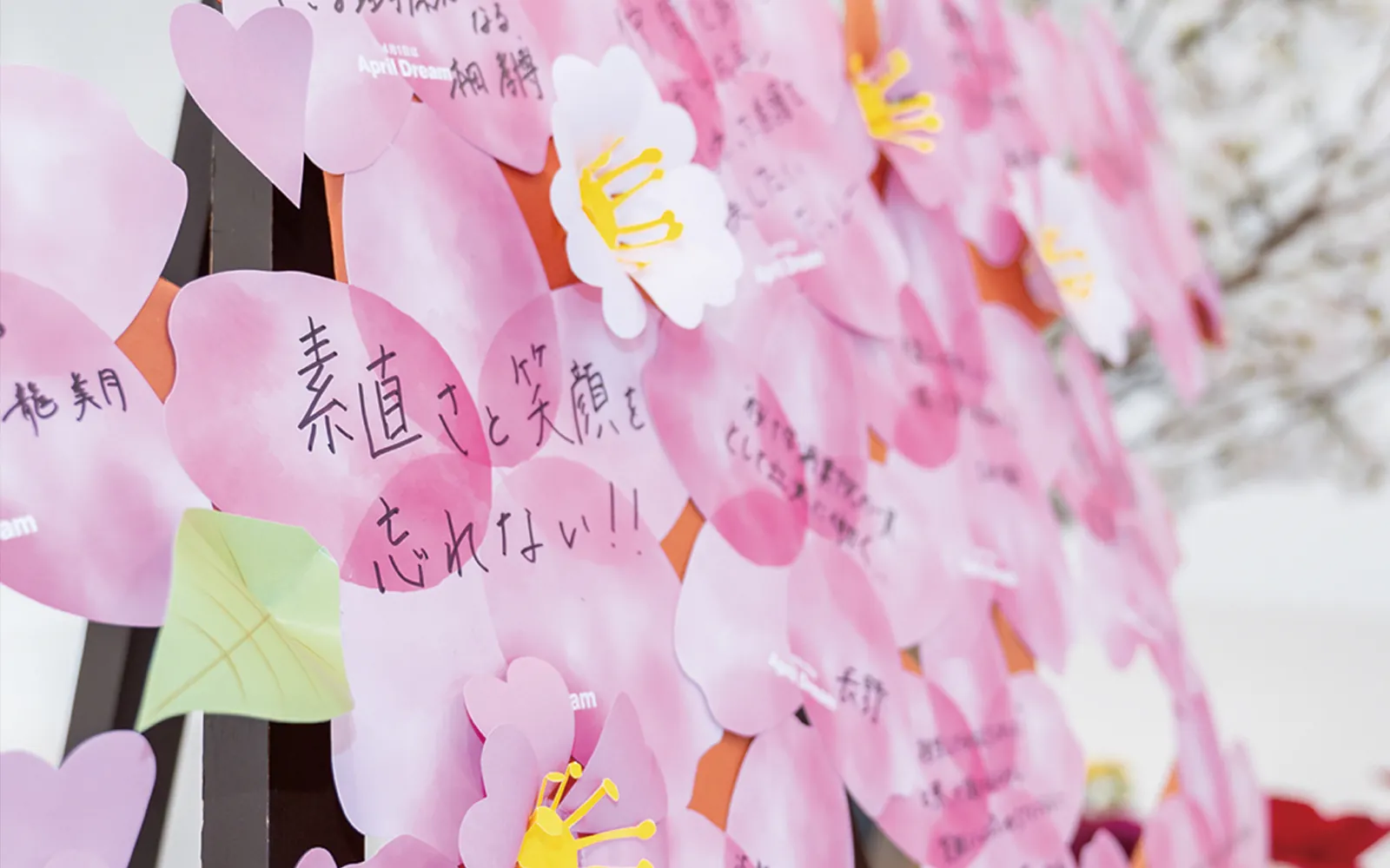 WELL-BEINGの花を咲かせようプロジェクト