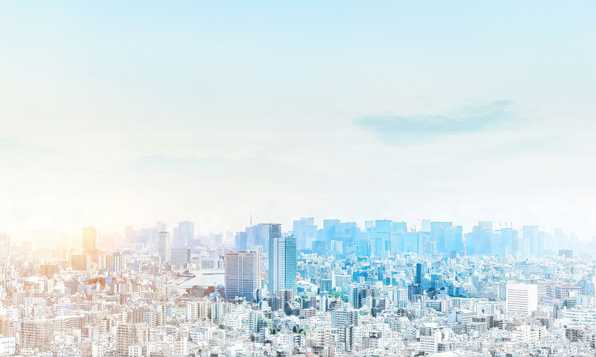 桜十字病院 ビジネスグロース採用