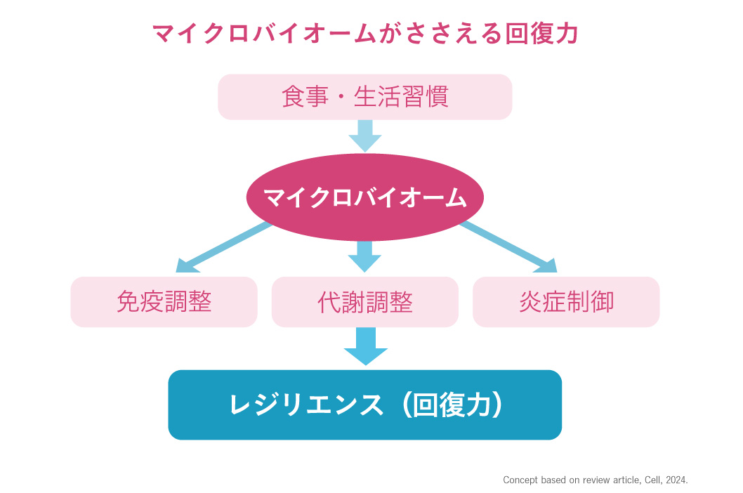 図2. マイクロバイオームが身体の調整機能に働きかけ、ストレスに対するレジリエンス(回復力)を生み出すメカニズムの概念図。
